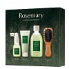 AROMATICA Rosemary Scalp Scaling Kit