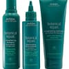 aveda botanical repair set