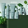 aveda scalp solutions