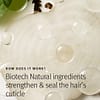 aveda botanical repair bond-building flash treatment