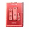 Aveda Nutriplenish Light Value Kit