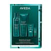 Aveda Botanical Repair Light