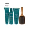 Aveda Botanical Repair Strengthening Trio with Aveda Brush