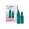 Aveda Botanical Repair Treatment Duo