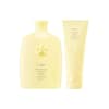 Oribe Hair Alchemy Resilience Shampoo & Conditioner