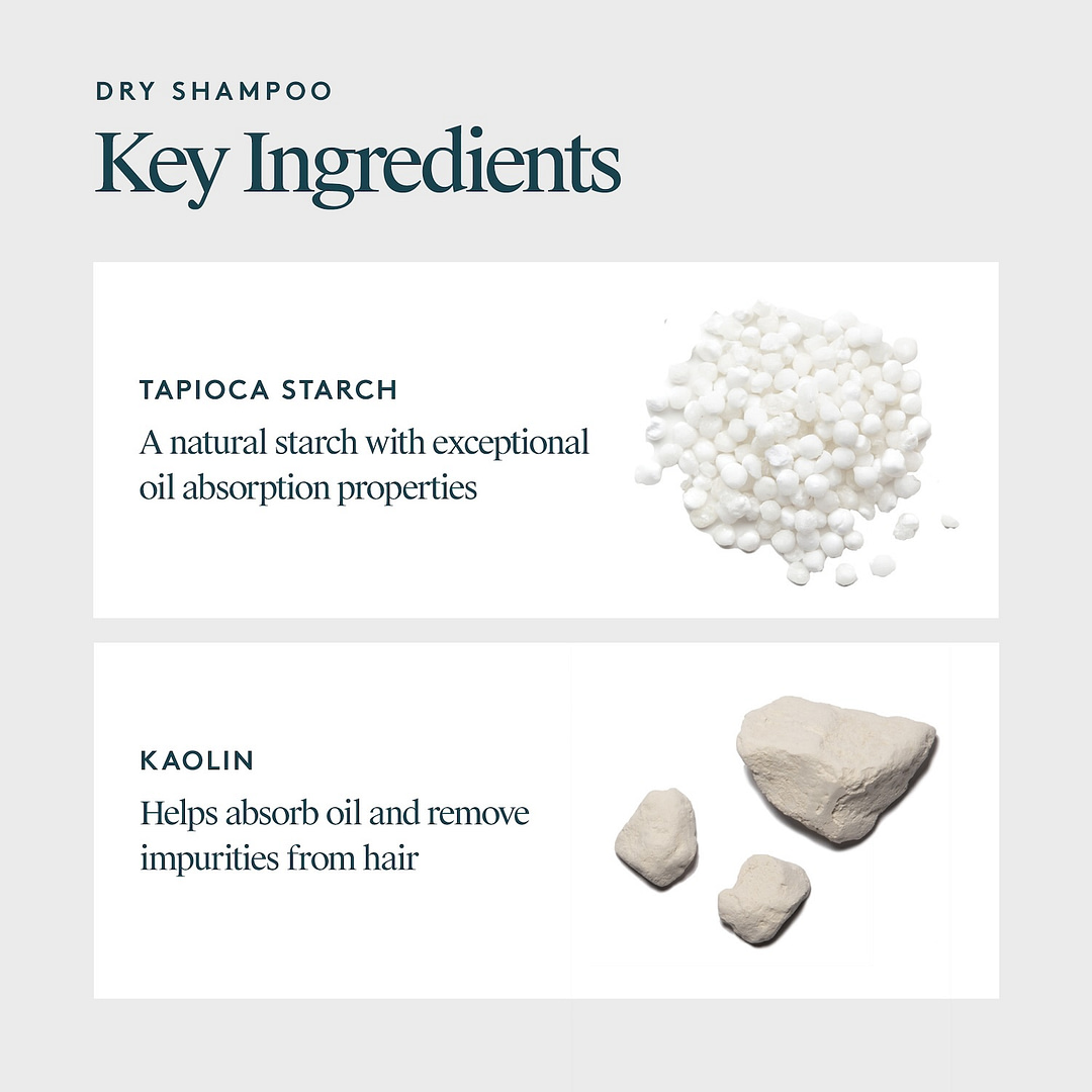 Virtue Refresh Dry Shampoo ingredients