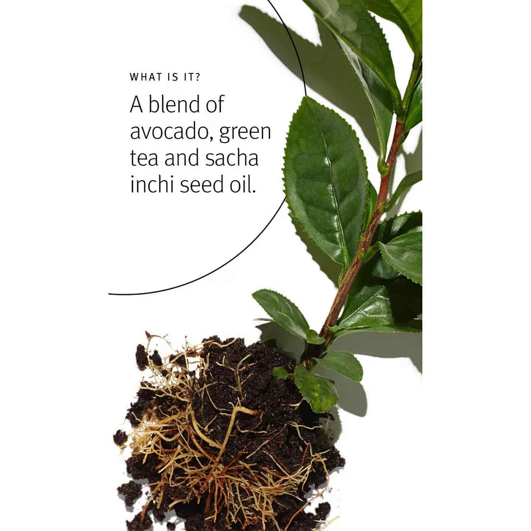 Aveda Botanical Repair