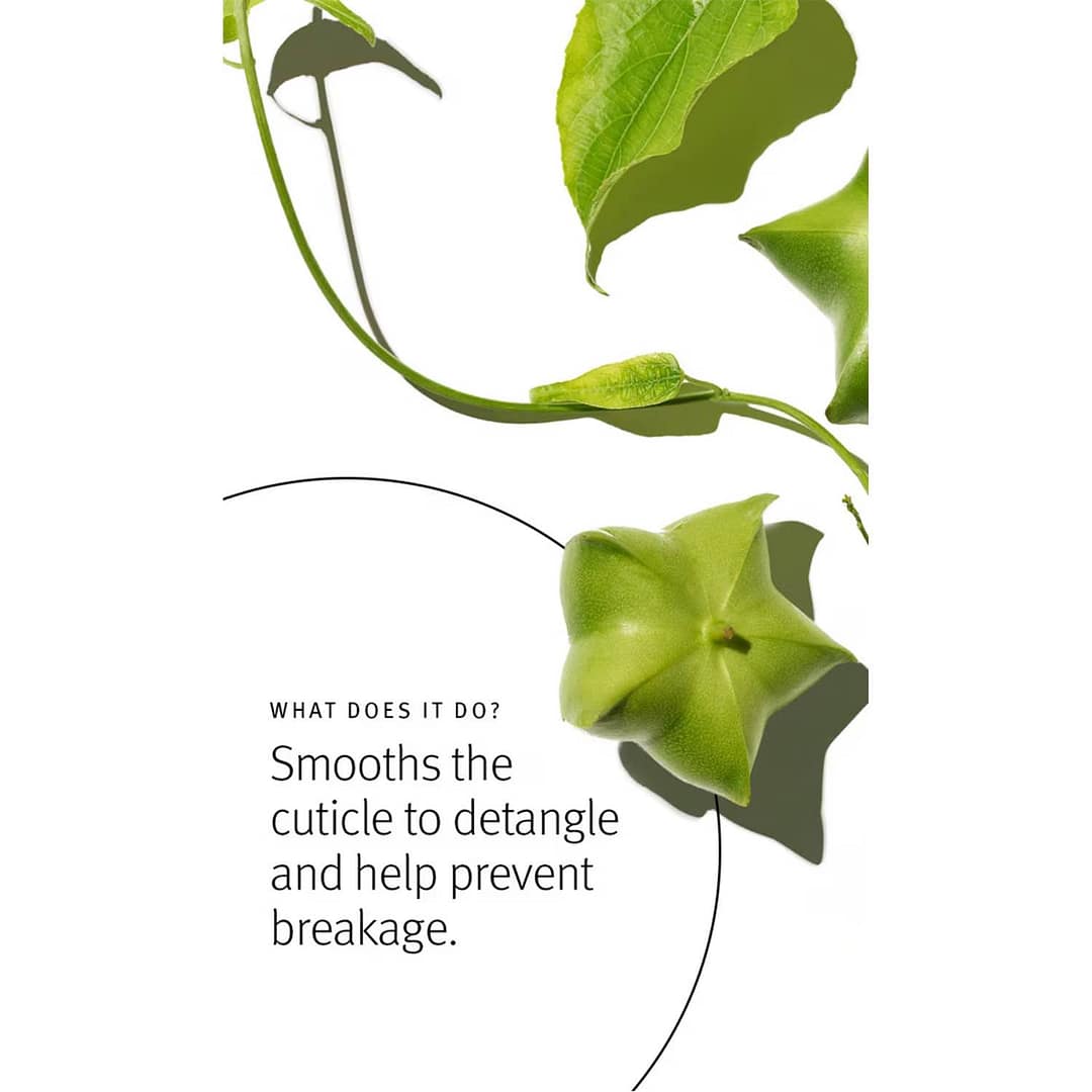 Aveda Botanical Repair