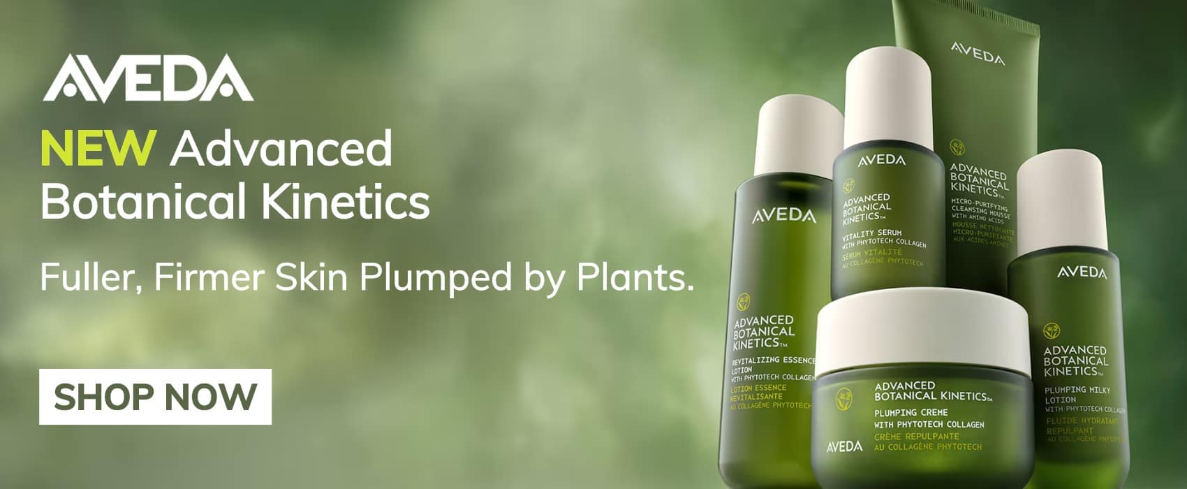 Aveda Botanical Kinetics Banner - desktop
