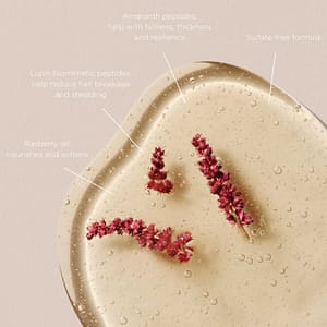 Christophe Robin Fortifying