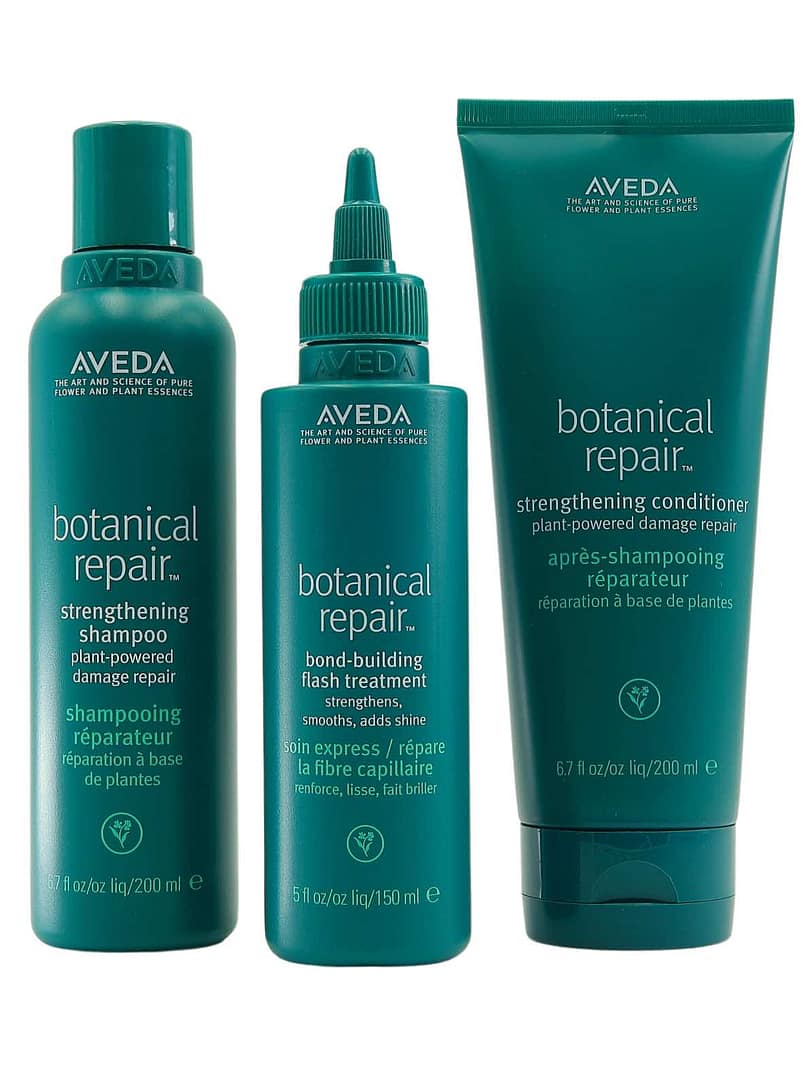 aveda botanical repair set