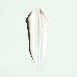 Oribe Moisture & Control Conditioner