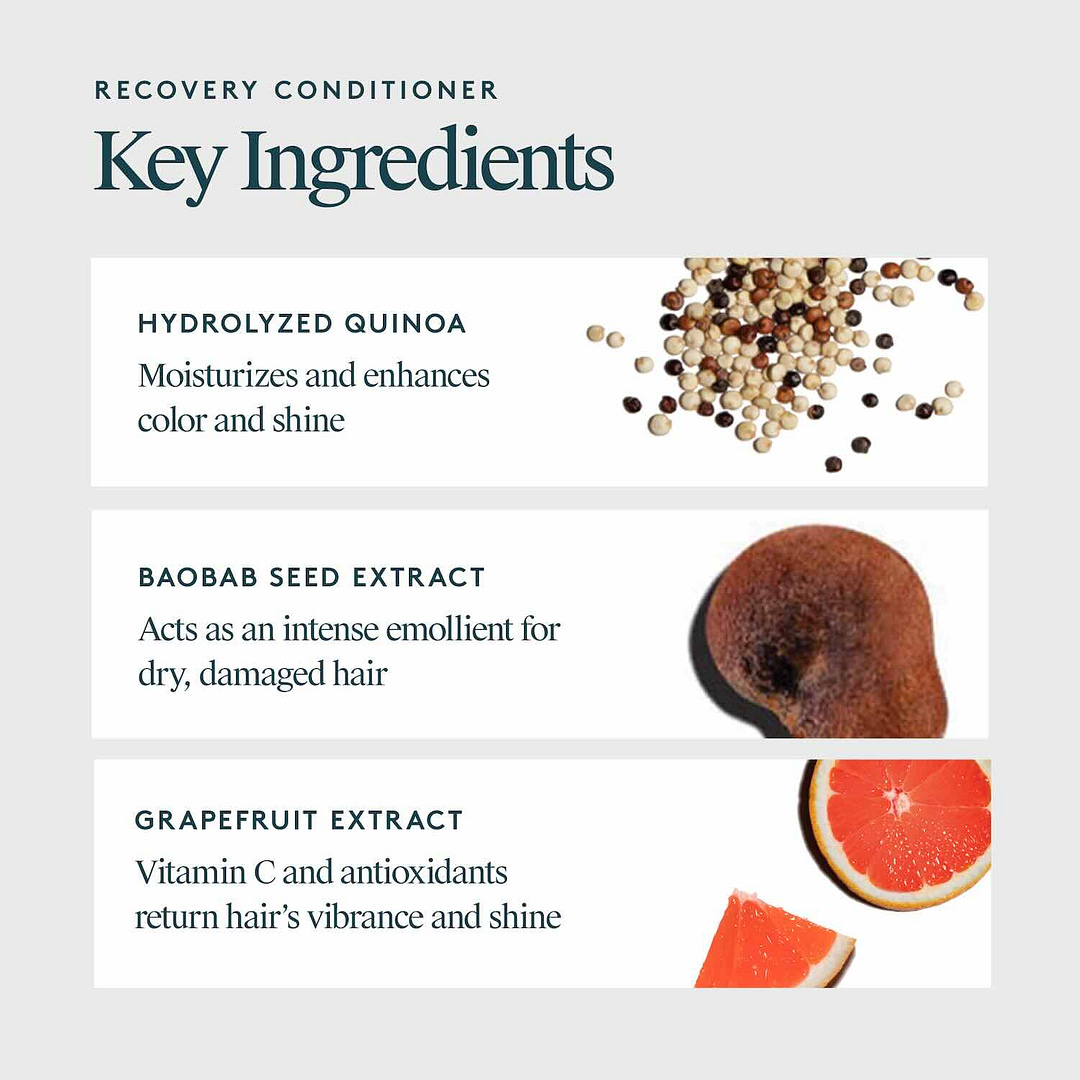 Virtue Recovery Conditioner ingredients