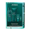 Aveda Botanical Repair Light