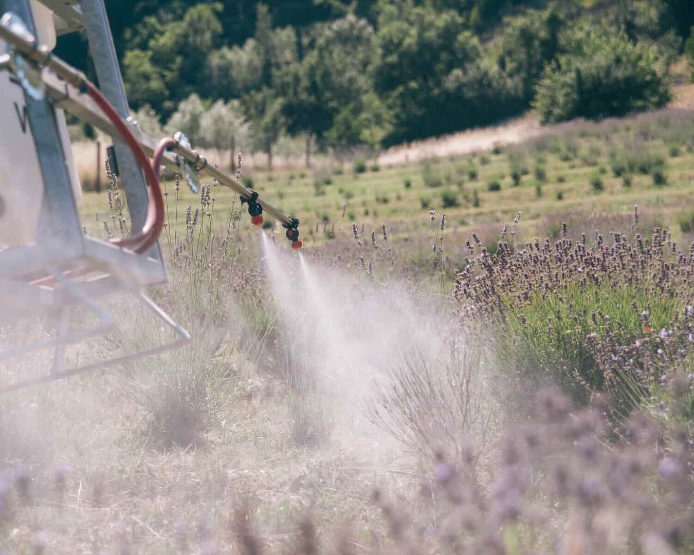 Organic Way