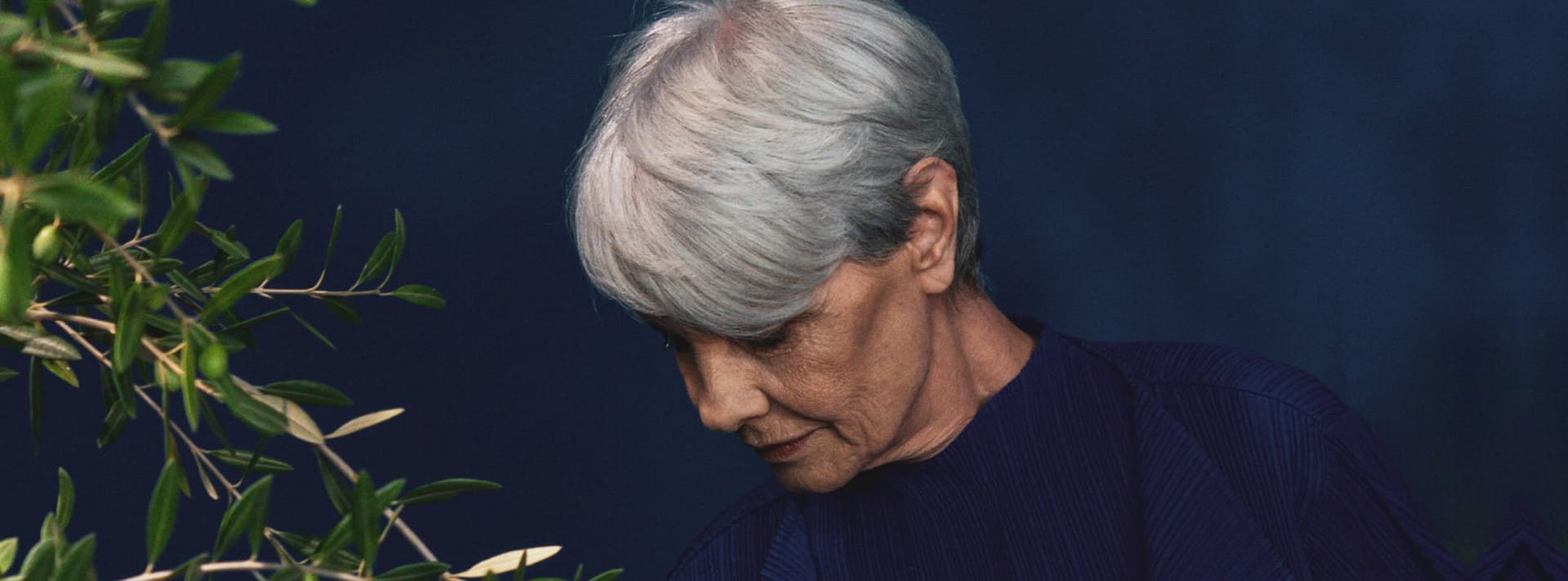 Grey haircare banner