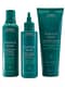 aveda botanical repair set