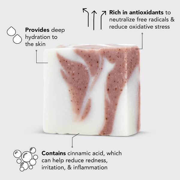 Kitsch Moisturizing Shea Butter Body Wash