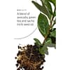Aveda Botanical Repair