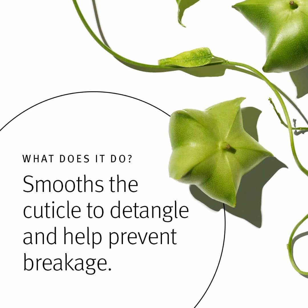 Aveda Botanical Repair what it does