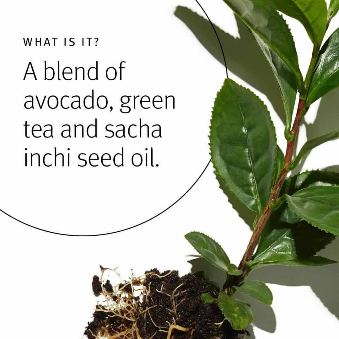 Aveda Botanical Repair what it is