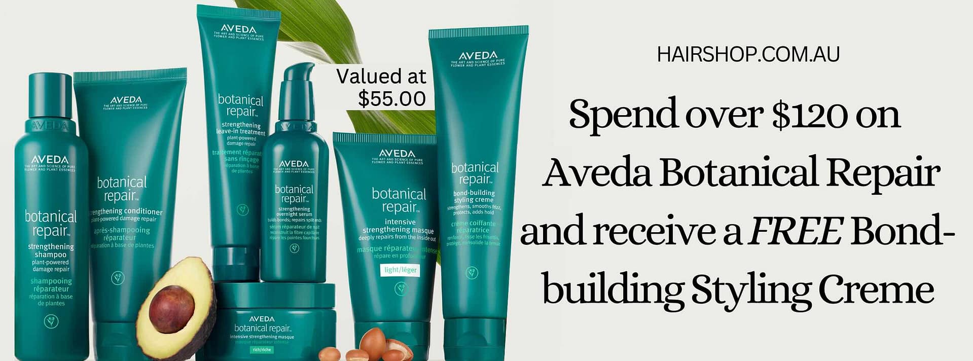 Aveda Botanical Repair Special