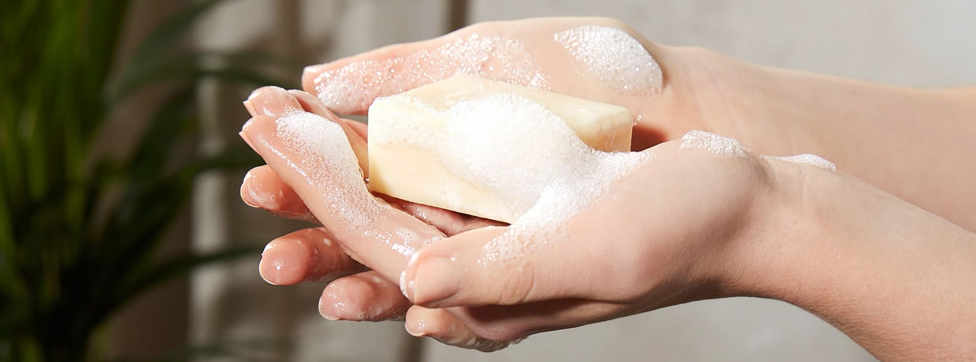 Shampoo Bars