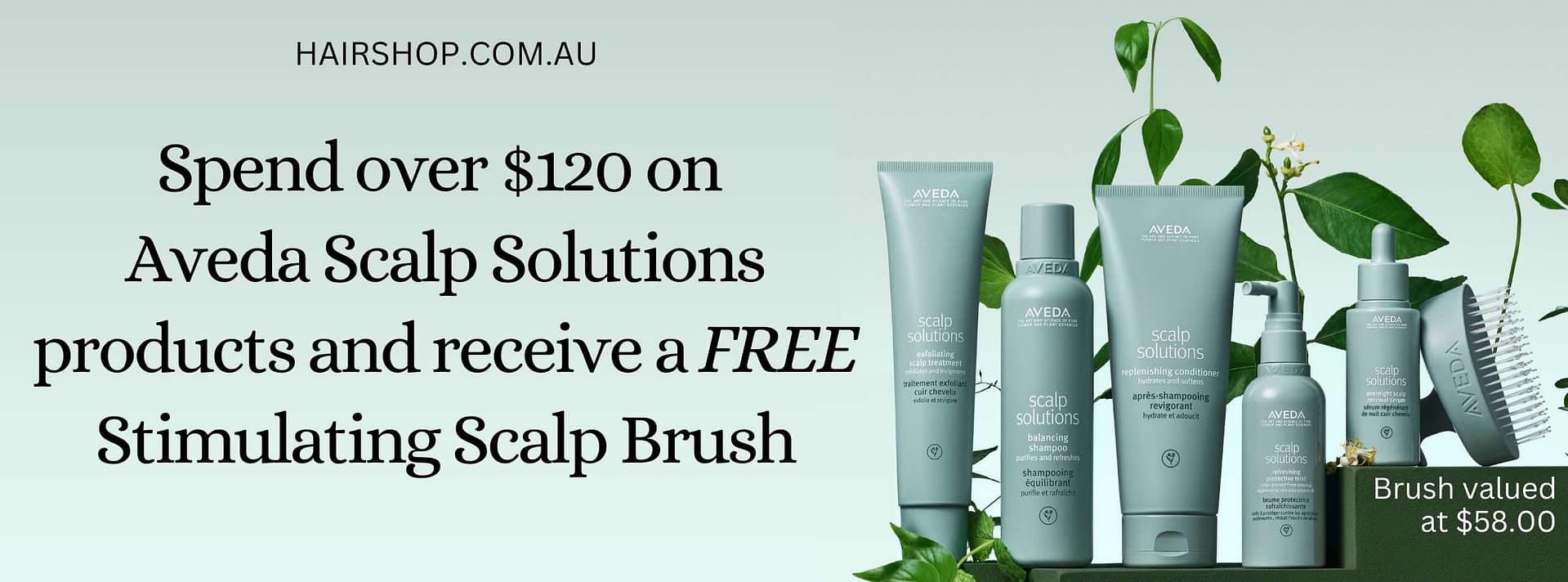 Aveda Scalp Solutions Special Banner