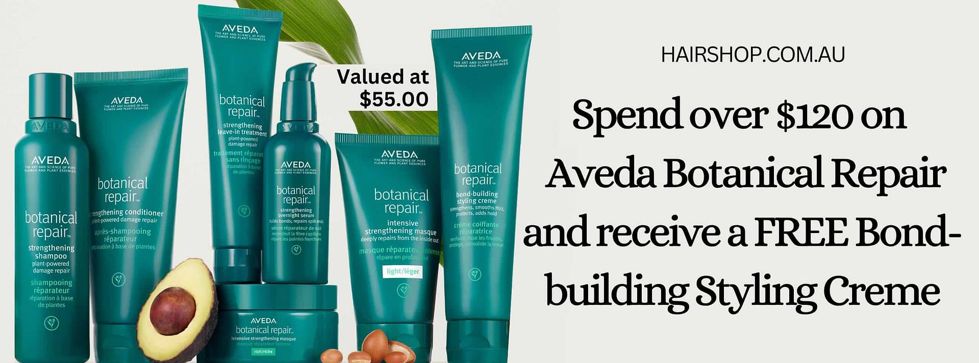Aveda Botanical Repair Special