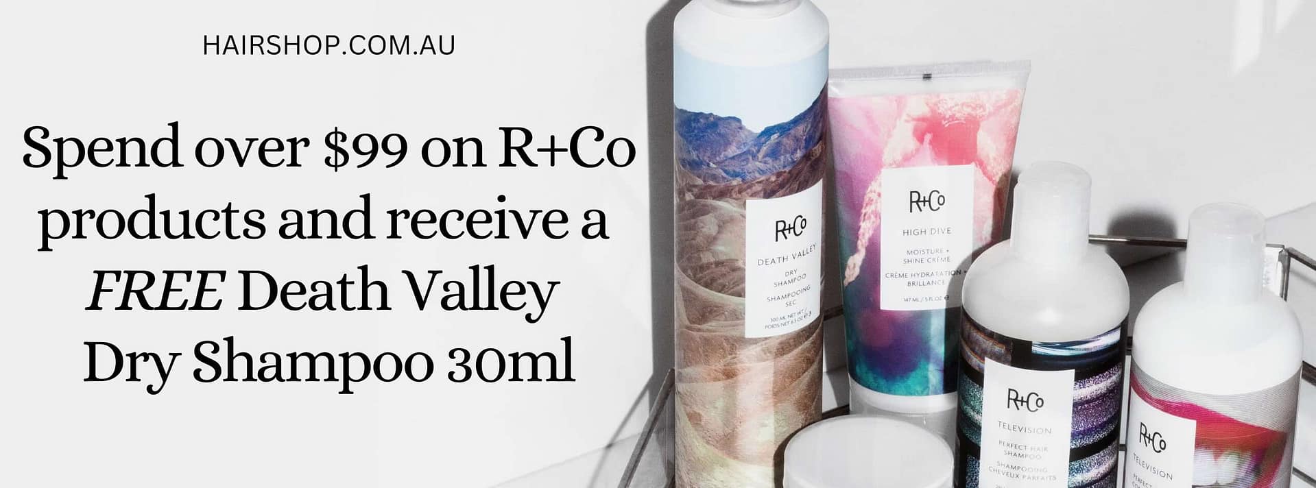 R+Co Special Banner