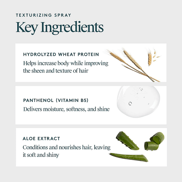 Virtue Texturizing Spray ingredients