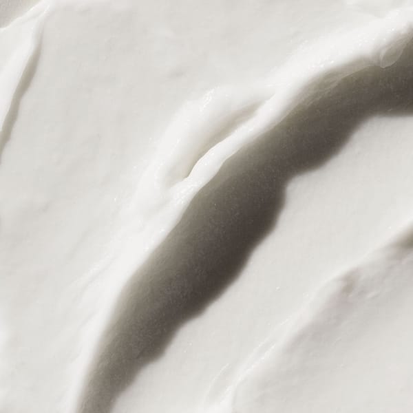 Aveda Botanical Repair Masque Rich