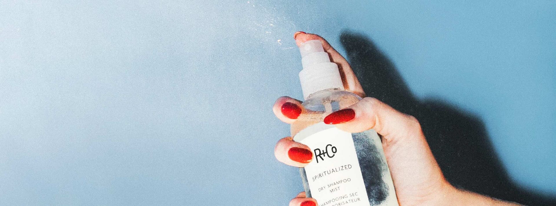 Dry Shampoo Banner