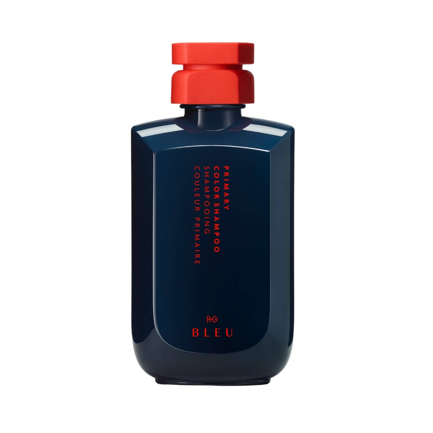 R+Co Bleu Primary Color Shampoo
