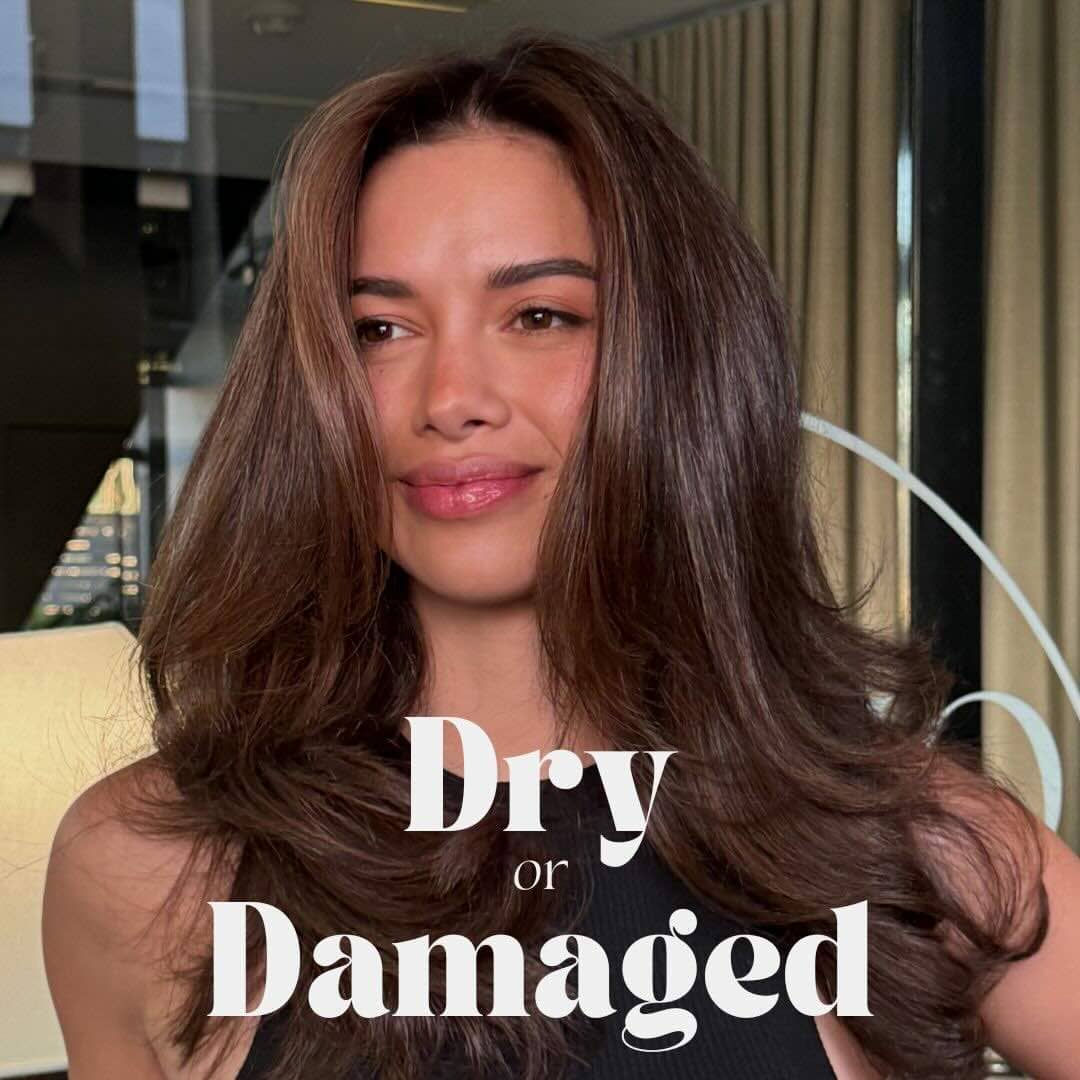 Dry or Damaged Hair