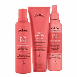 Aveda Nutriplenish Deep Hydration Set