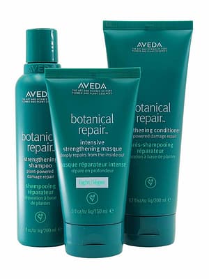 aveda botanical repair light trio