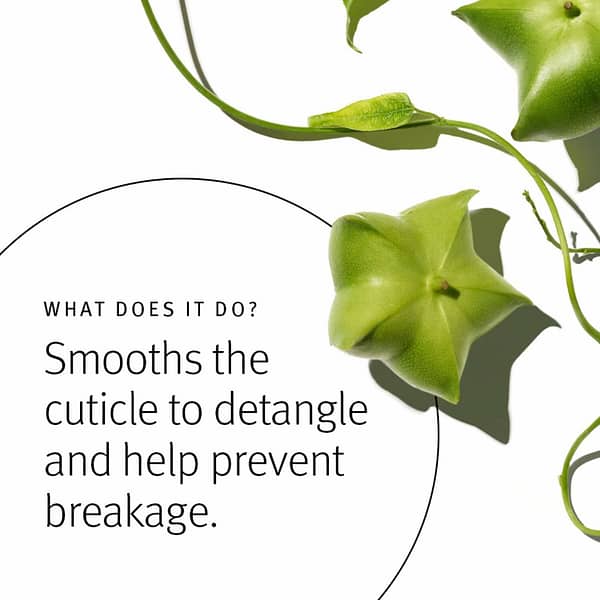 Aveda Botanical Repair what it does