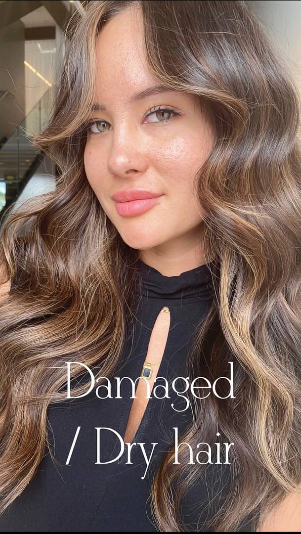 dry damaged hair